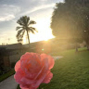 Meet your Posher, Leiane